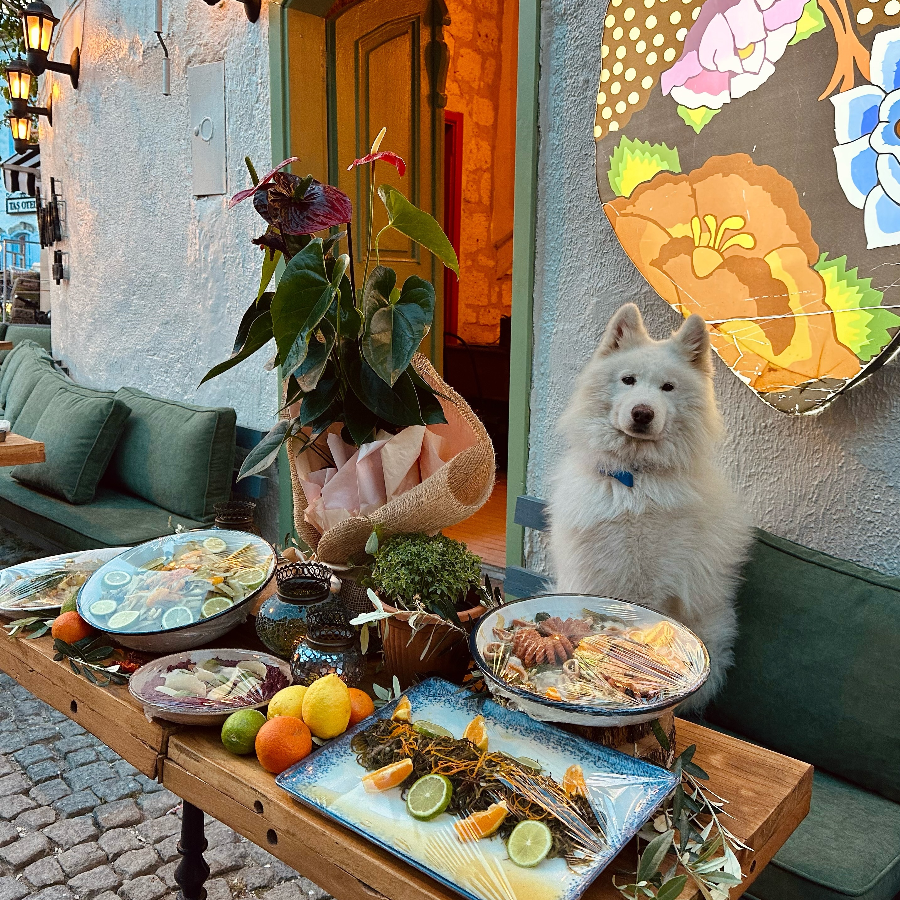 Corazon Alaçatı